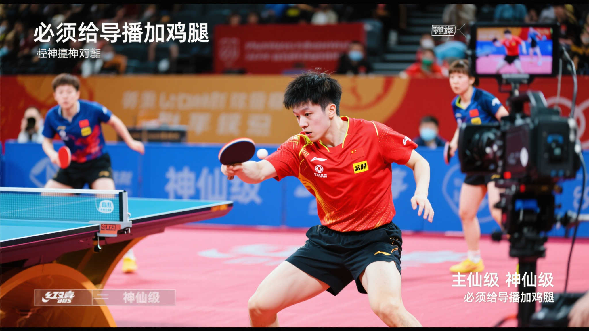 塔菲仅有 塔菲仅有