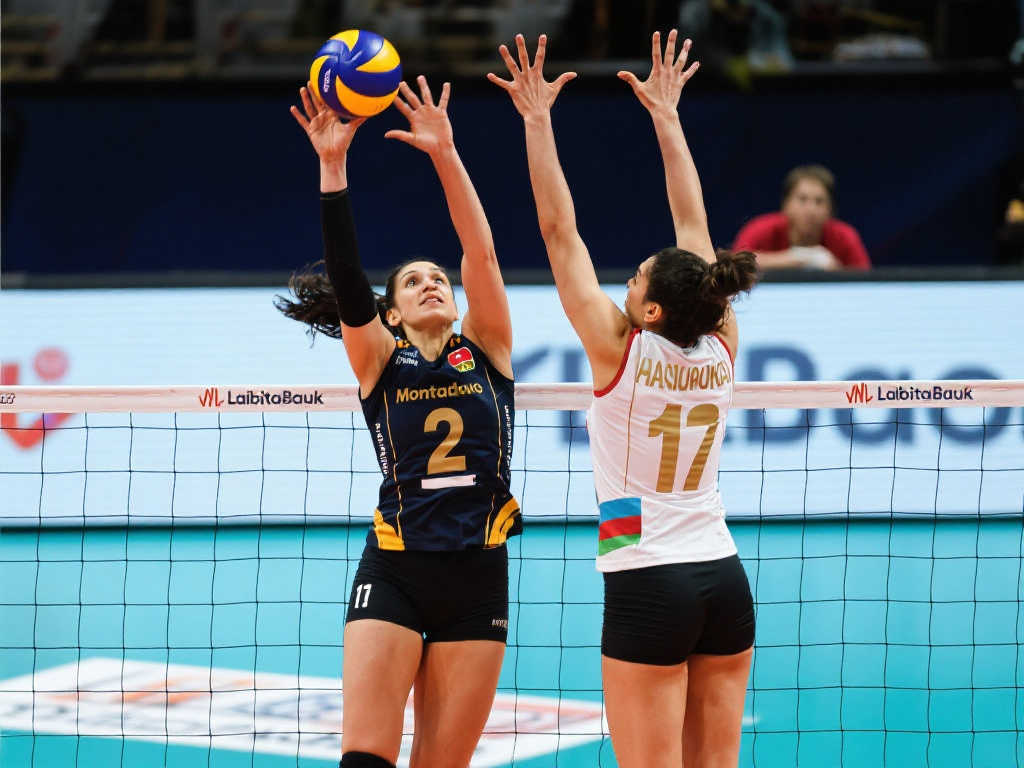 為這支球隊 為這支球隊