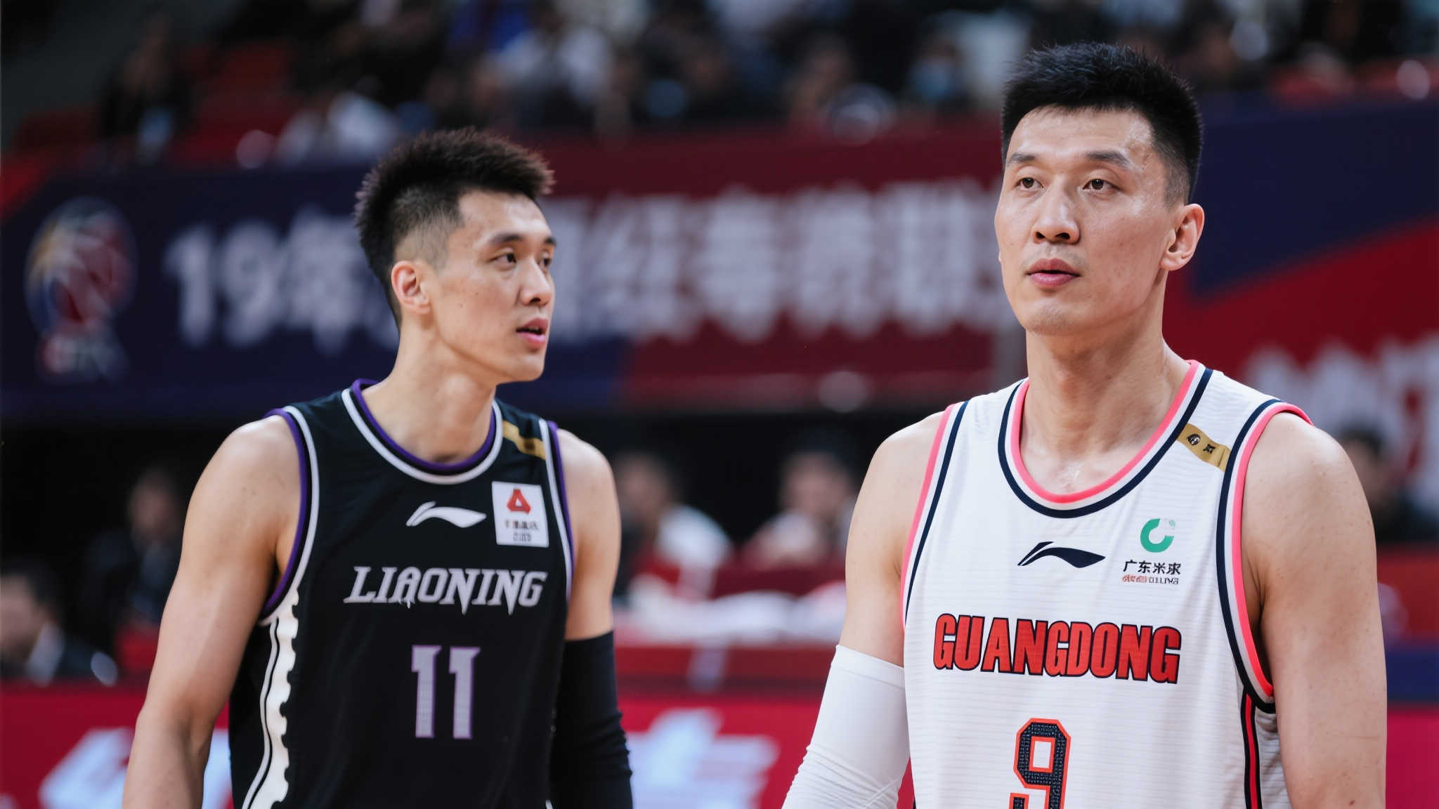 更是备受关 更是备受关